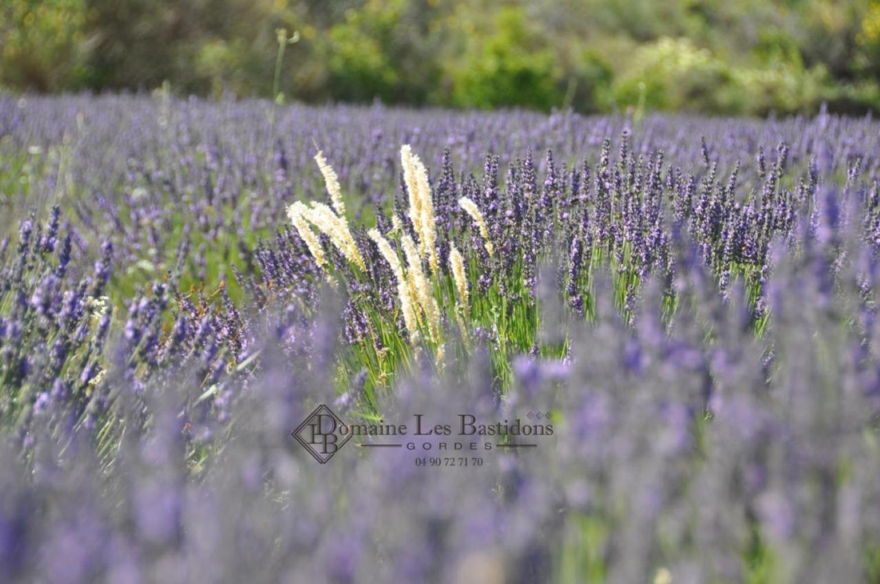 Domaine Les Bastidons Villa Gordes Buitenkant foto